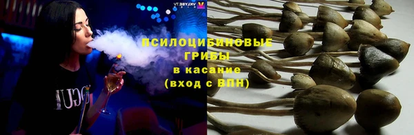 гидра Семилуки