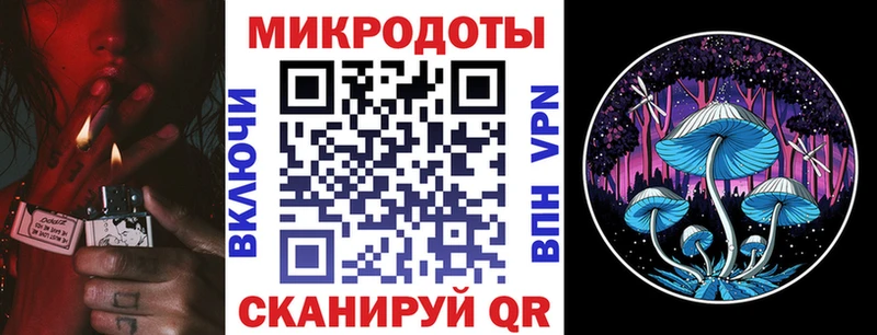 ссылка на мегу tor  Медвежьегорск  Галлюциногенные грибы Psilocybe  дарнет шоп 